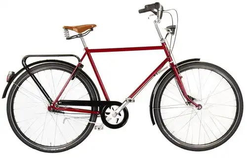 Pilen Bicicleta Clasica hombre