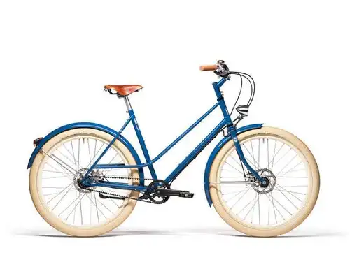 Retrovelo con Gates Carbon Drive