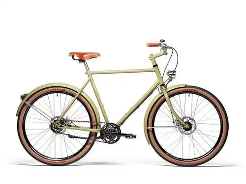 Retrovelo con Gates Carbon Drive