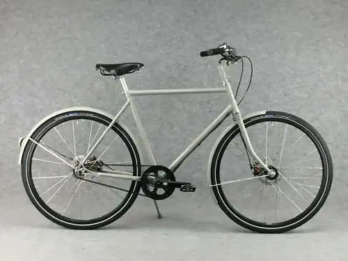 Retrovelo con Gates Carbon Drive