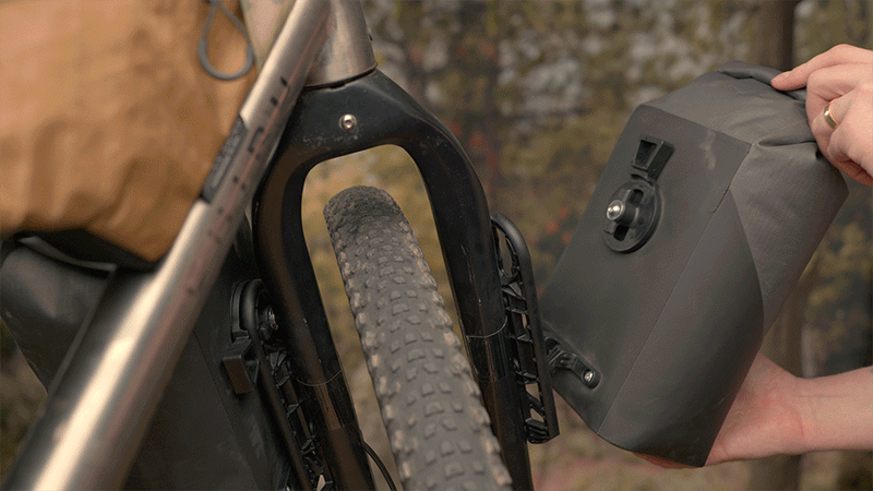 Hemlock con FLiP Cages de Old Man Mountain Hemlock con FLiP Cages de Old Man Mountain