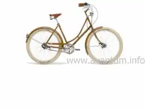 Retrovelo Paula 26 bicicleta clásica