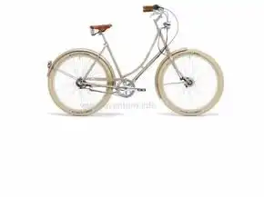 Retrovelo Paula 26 bicicleta clásica