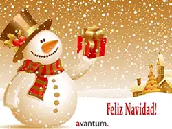 Publicidad avantum. en redes ssociales Publicidad avantum. en redes ssociales